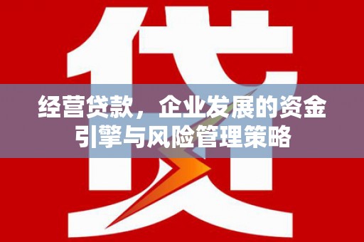会同经营贷款，企业发展的资金引擎与风险管理策略