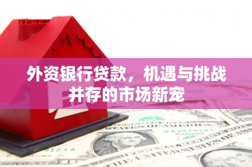会同外资银行贷款，机遇与挑战并存的市场新宠