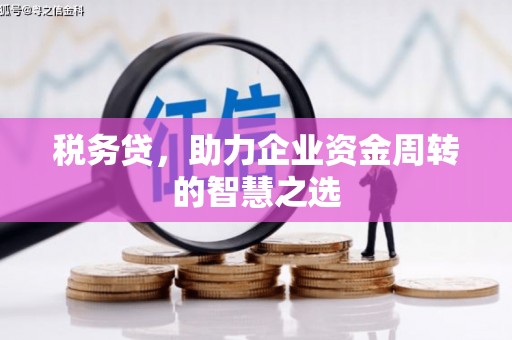 会同税务贷，助力企业资金周转的智慧之选