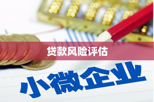 会同贷款风险评估