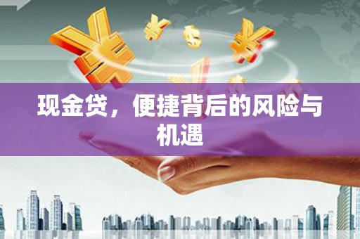 会同现金贷，便捷背后的风险与机遇