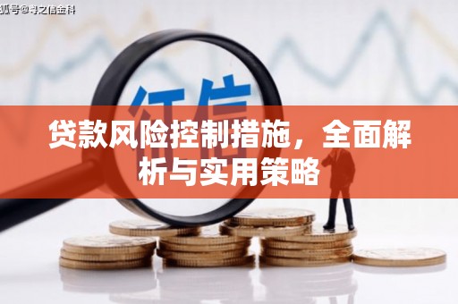 会同贷款风险控制措施，全面解析与实用策略