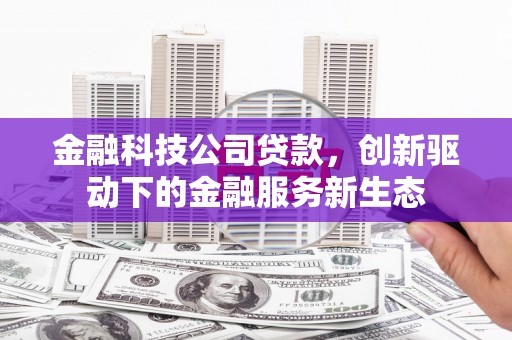 会同金融科技公司贷款，创新驱动下的金融服务新生态