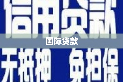 会同国际贷款