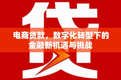 会同电商贷款，数字化转型下的金融新机遇与挑战