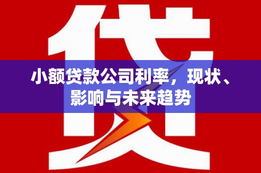 会同小额贷款公司利率，现状、影响与未来趋势