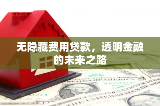 会同无隐藏费用贷款，透明金融的未来之路