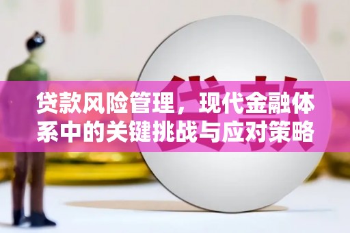 会同贷款风险管理，现代金融体系中的关键挑战与应对策略