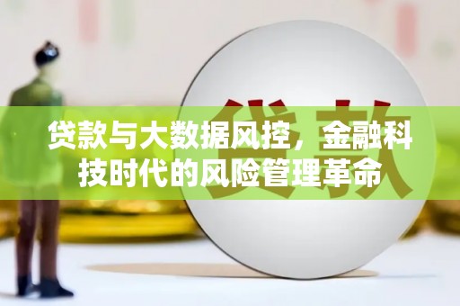 会同贷款与大数据风控，金融科技时代的风险管理革命