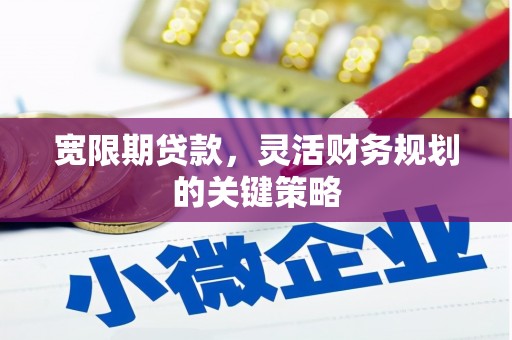 会同宽限期贷款，灵活财务规划的关键策略