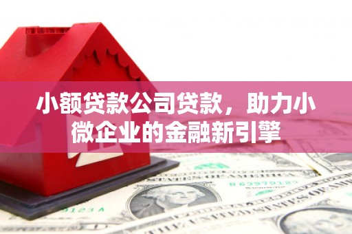 会同小额贷款公司贷款，助力小微企业的金融新引擎