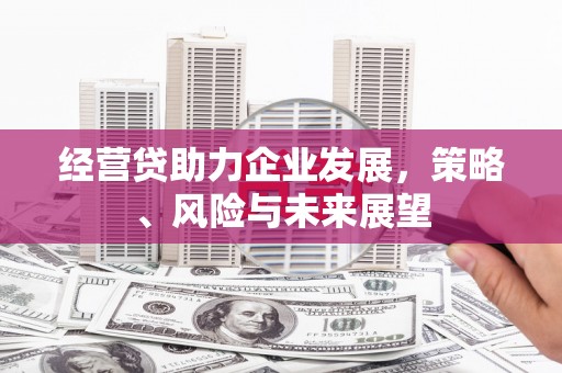 会同经营贷助力企业发展，策略、风险与未来展望