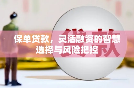 会同保单贷款，灵活融资的智慧选择与风险把控