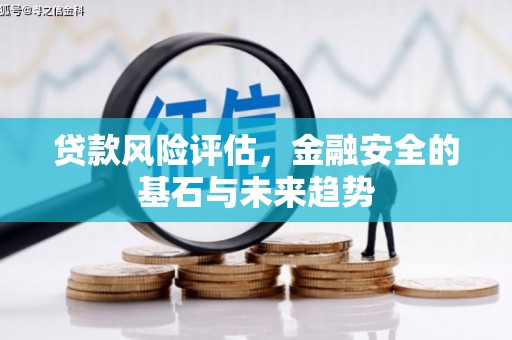 会同贷款风险评估，金融安全的基石与未来趋势