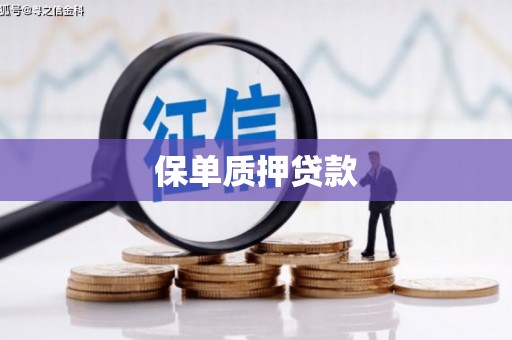 会同保单质押贷款