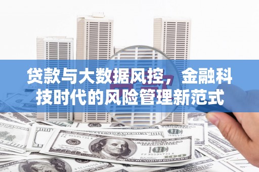 会同贷款与大数据风控，金融科技时代的风险管理新范式