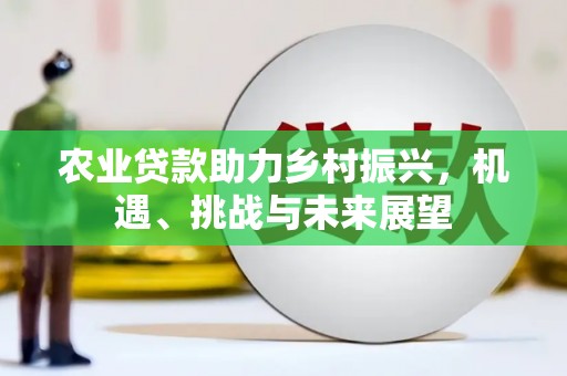 会同农业贷款助力乡村振兴，机遇、挑战与未来展望