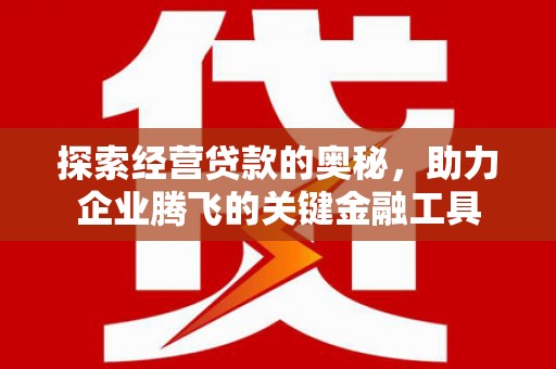 会同探索经营贷款的奥秘，助力企业腾飞的关键金融工具