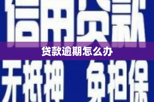会同贷款逾期怎么办