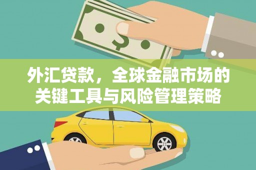 会同外汇贷款，全球金融市场的关键工具与风险管理策略