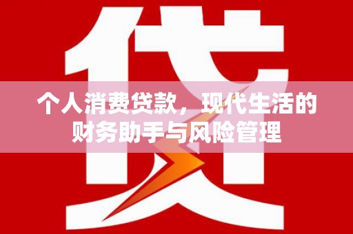 会同个人消费贷款，现代生活的财务助手与风险管理