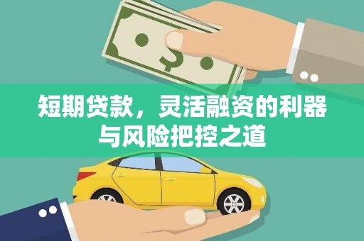 会同短期贷款，灵活融资的利器与风险把控之道