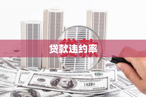 会同贷款违约率