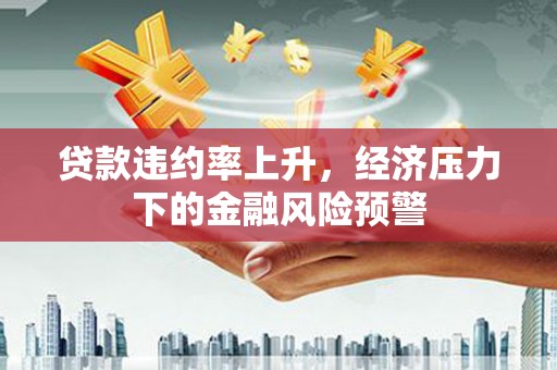 会同贷款违约率上升，经济压力下的金融风险预警