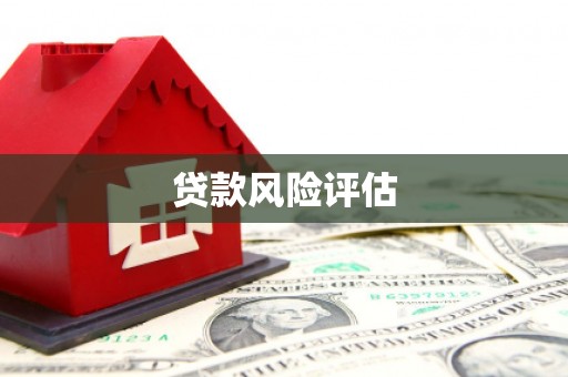 会同贷款风险评估