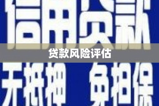 会同贷款风险评估
