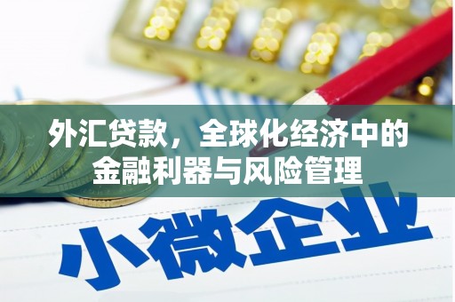 会同外汇贷款，全球化经济中的金融利器与风险管理