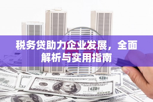 会同税务贷助力企业发展，全面解析与实用指南