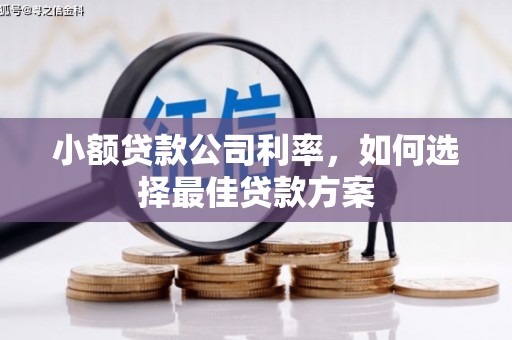 会同小额贷款公司利率，如何选择最佳贷款方案