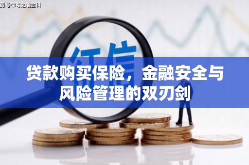 会同贷款购买保险，金融安全与风险管理的双刃剑