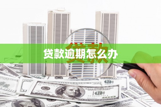 会同贷款逾期怎么办