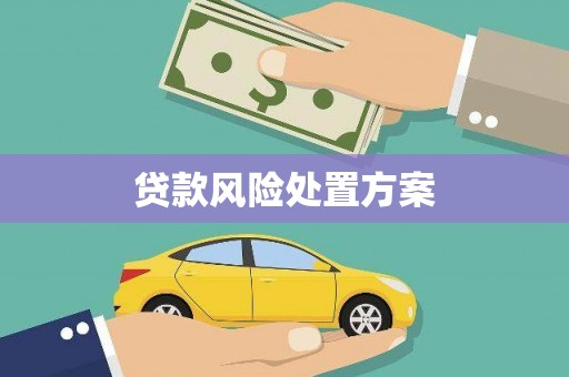 会同贷款风险处置方案