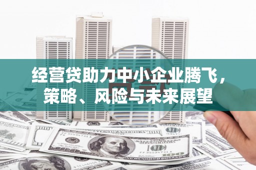 会同经营贷助力中小企业腾飞，策略、风险与未来展望