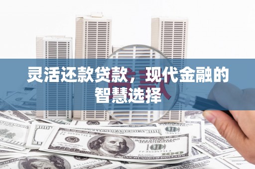 会同灵活还款贷款，现代金融的智慧选择
