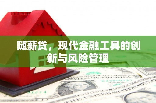 会同随薪贷，现代金融工具的创新与风险管理