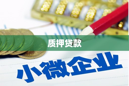 会同质押贷款