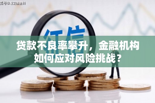 会同贷款不良率攀升，金融机构如何应对风险挑战？
