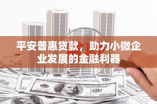 会同平安普惠贷款，助力小微企业发展的金融利器