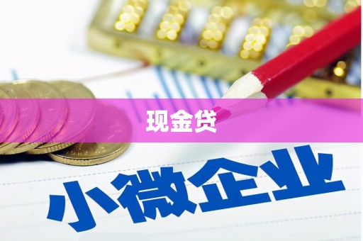 会同现金贷