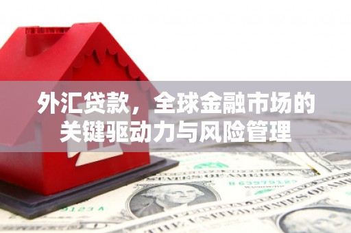 会同外汇贷款，全球金融市场的关键驱动力与风险管理