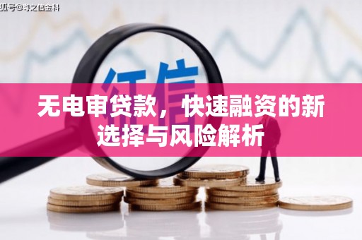 会同无电审贷款，快速融资的新选择与风险解析