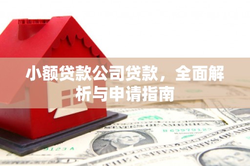 会同小额贷款公司贷款，全面解析与申请指南