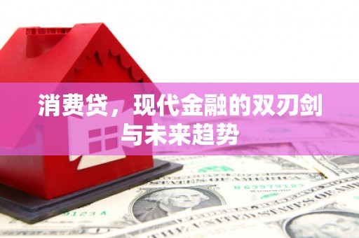 会同消费贷，现代金融的双刃剑与未来趋势