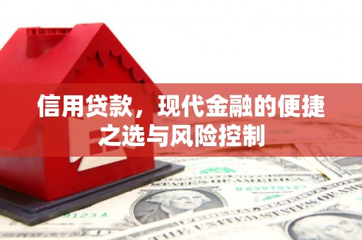 会同信用贷款，现代金融的便捷之选与风险控制