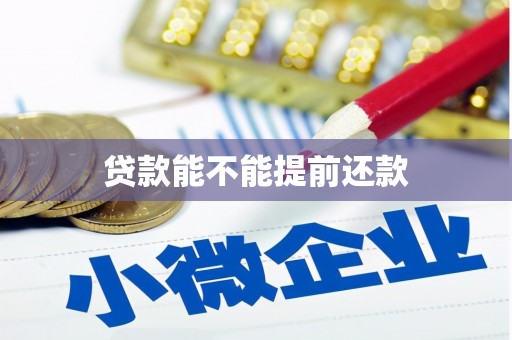 会同贷款能不能提前还款