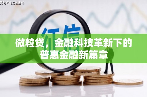会同微粒贷，金融科技革新下的普惠金融新篇章